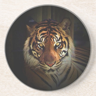 Tiger Coaster