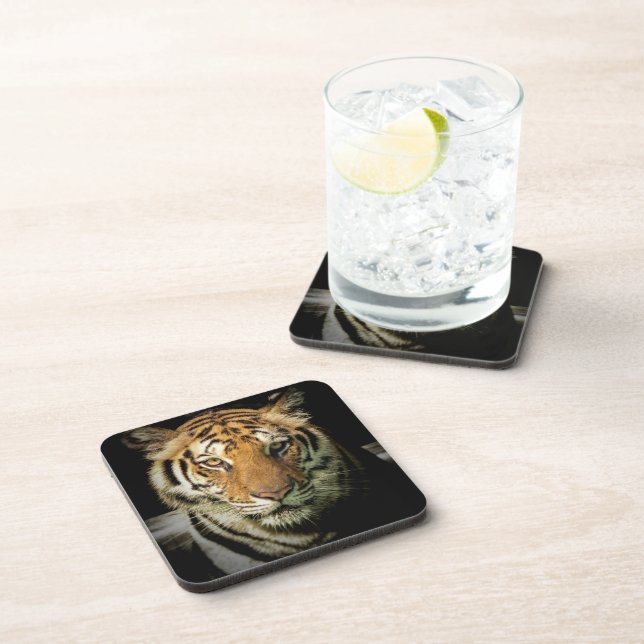 tiger coaster (Right Side)