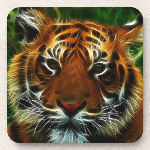 TIGER COASTER