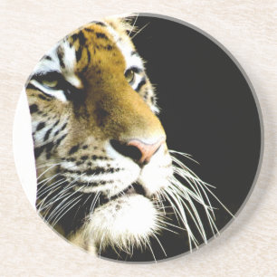 Tiger Coaster