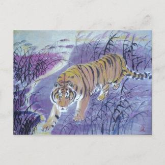 tiger crossing water postcard