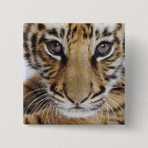 Tiger Cub 2 Inch Square Button