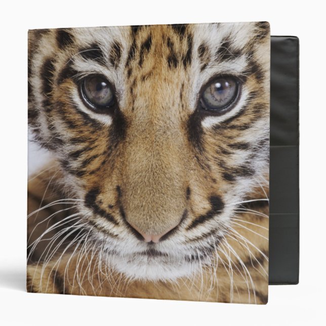 Tiger Cub Binder (Front/Inside)