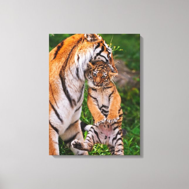 Tiger Cub Canvas Print (Front)