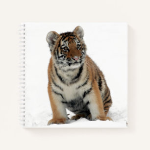 Tiger Cub in the Snow Photograph Notebook