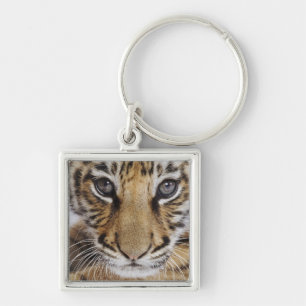 Tiger Cub Keychain