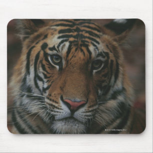Tiger Cub Mouse Pad