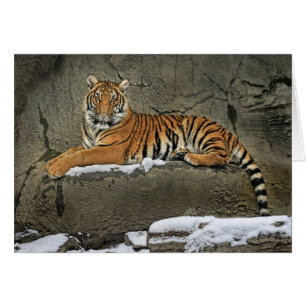 Tiger Cub Statuesque