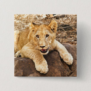 Tiger Cub Takes Breather On A Rock 2 Inch Square Button