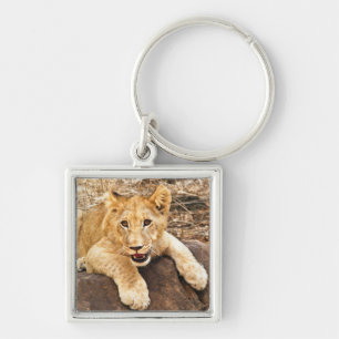 Tiger Cub Takes Breather On A Rock Keychain