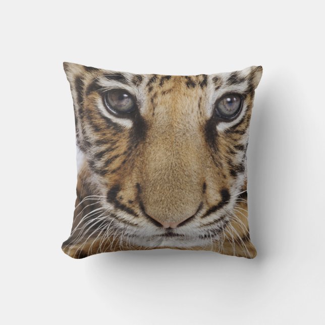 Tiger Cub Throw Pillow (Front)