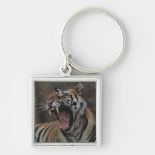 Tiger Cub Yawning Keychain