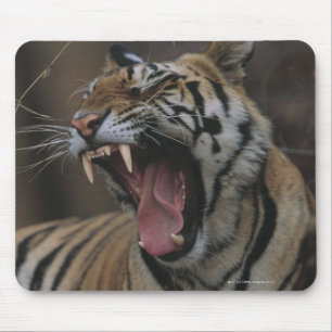 Tiger Cub Yawning Mouse Pad