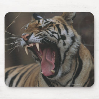 Tiger Cub Yawning Mouse Pad