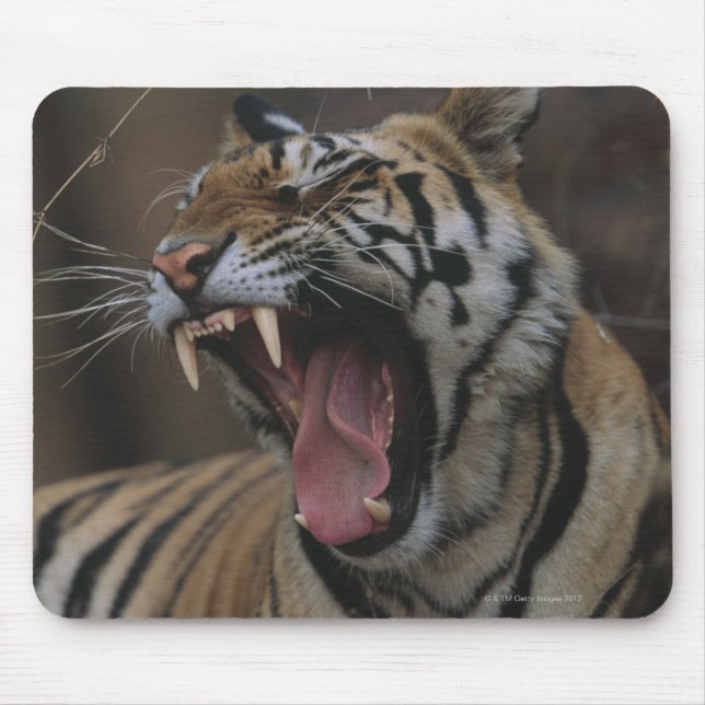 Tiger Cub Yawning Mouse Pad (Front)