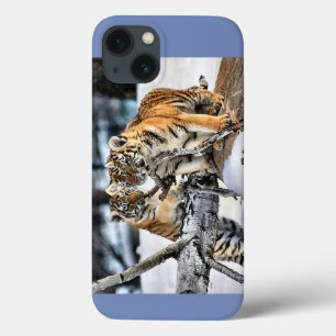 Tiger Cubs At Play iPhone 13 Case