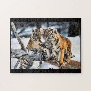 Tiger Cubs at Play Jigsaw Puzzle