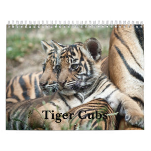 Tiger Cubs Calendar