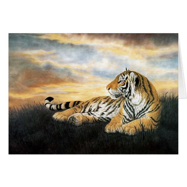 Tiger Dawn (Devant horizontal)