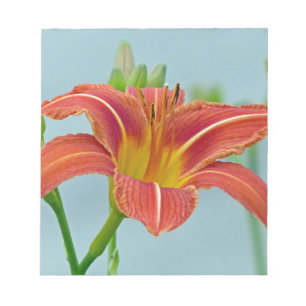 Tiger Daylily Notepad