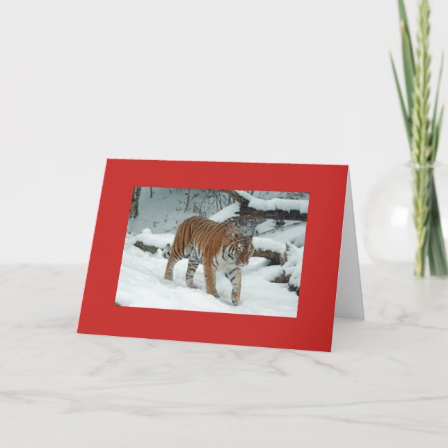 TIGER DE LA CARTE DE NOIX PLIÉE (Devant)