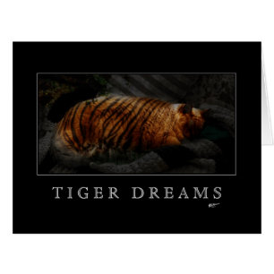 Tiger Dreams Card