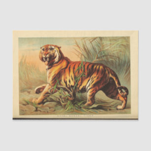 Tiger Ephemera Decoupage Tissue Paper