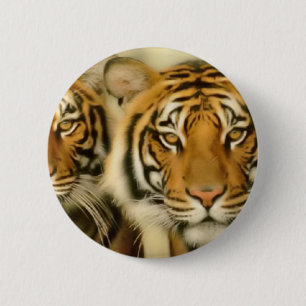 Tiger Eyes 2 Inch Round Button