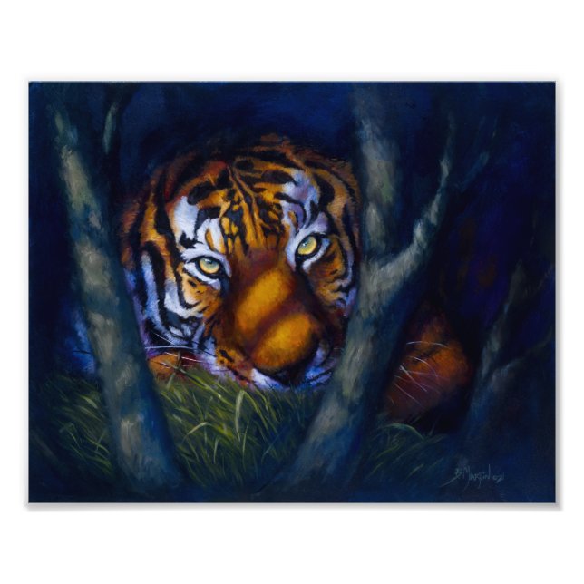 Tiger Eyes Photo Print (Front)