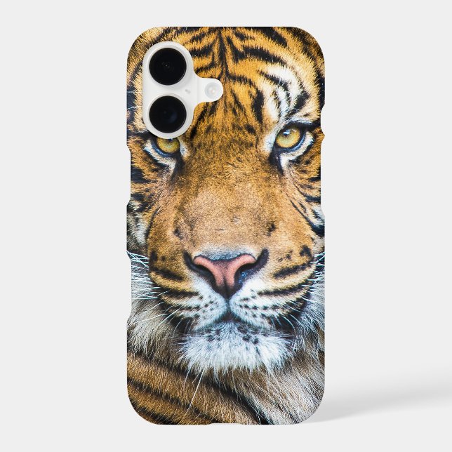 Tiger Face (Back)
