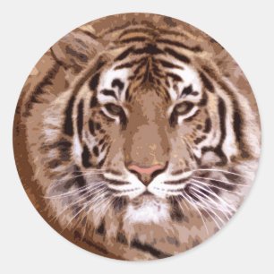 Tiger Face Classic Round Sticker