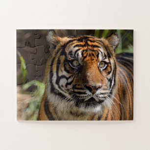 Tiger face jigsaw puzzle