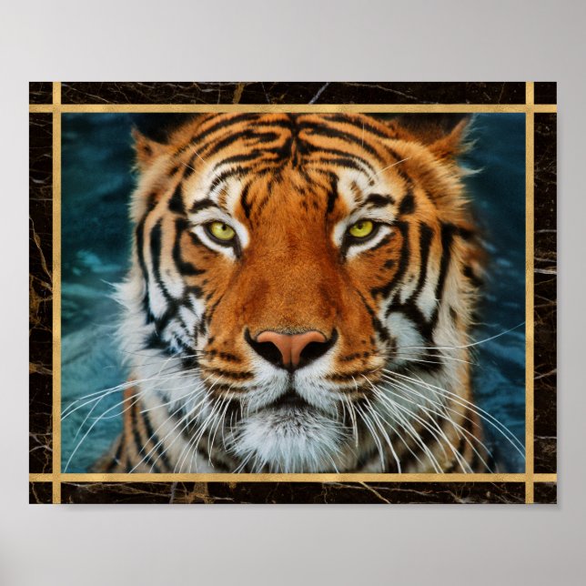 Tiger Face Marbled Photo Image Print Poster (Front)