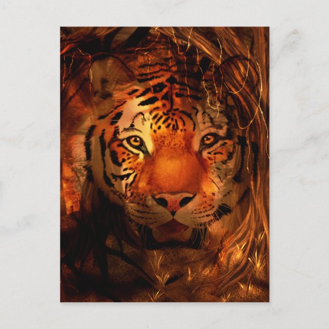 Tiger face postcard (Front)