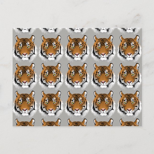 Tiger face postcard (Front)