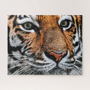 Tiger Face, Puzzle
