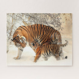 Tiger Family in Winter Landscape Jigsaw Puzzle
