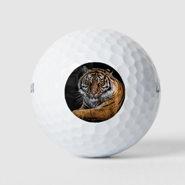 Tiger Fan Golf Balls (Front)