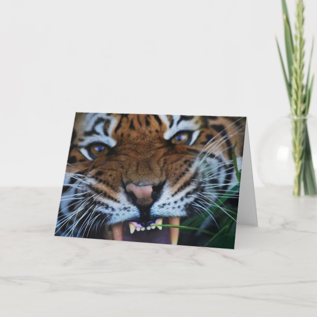 Tiger Fangs Close UP Card (Front)