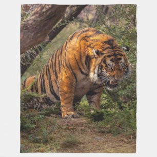 TIGER FLEECE BLANKET