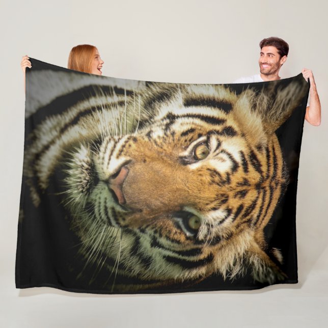 tiger fleece blanket (In Situ)