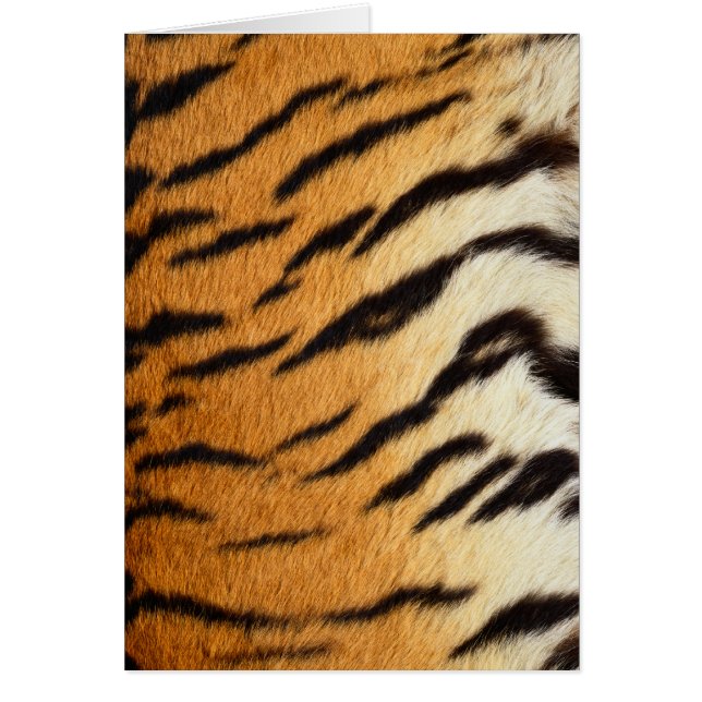 Tiger Fur Wildlife Cards Series (Front)