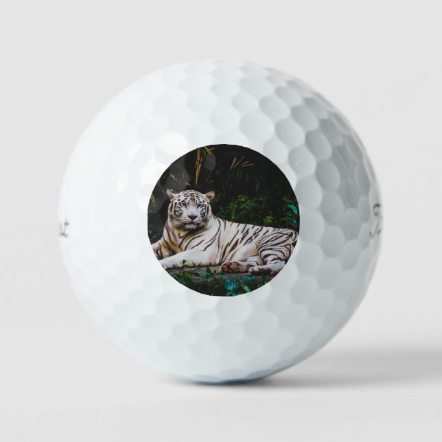 Tiger Golf Balls (Front)