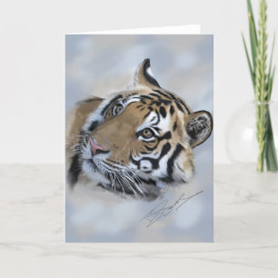 Tiger greeting card Banda of Kanha