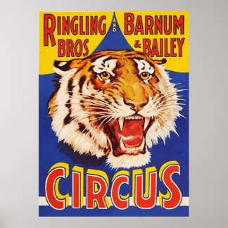 TIGER Growl Circus Ringling Bros Circus Animal Vin Poster