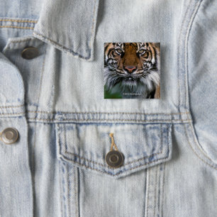 Tiger Head and Face 2 Inch Square Button
