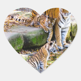 Tiger Heart Sticker