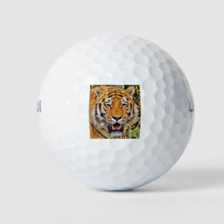 Tiger image ! golf balls