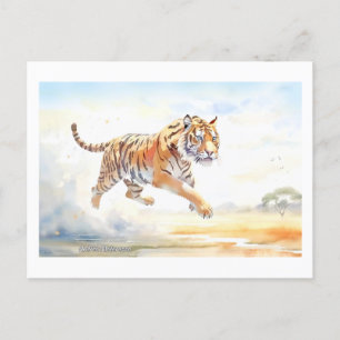 Tiger in Action 3 Postcard