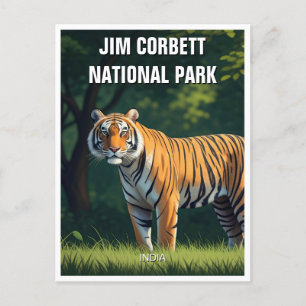 Tiger in Jim Corbett National Park Postcard